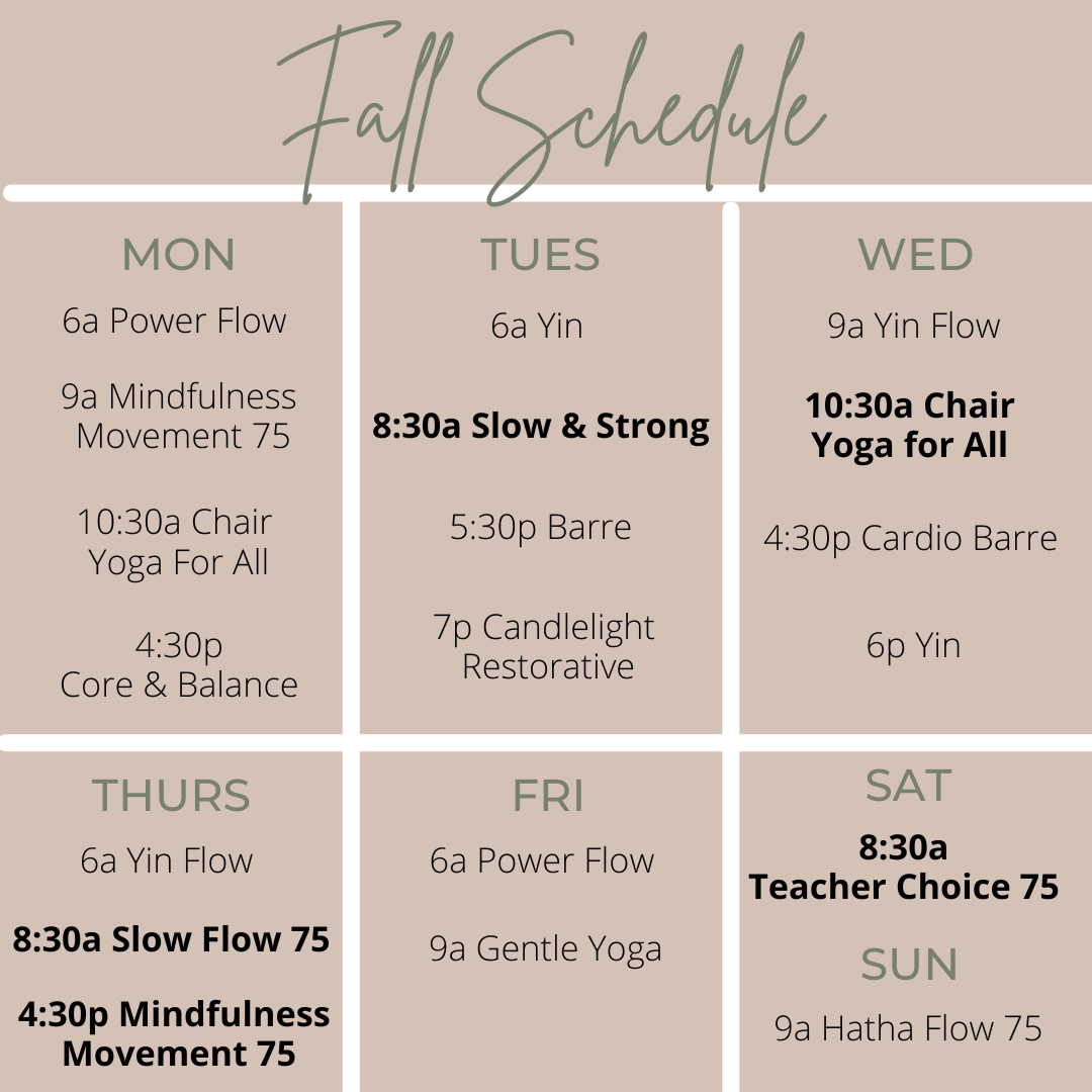 Schedule - The Yoga Bar